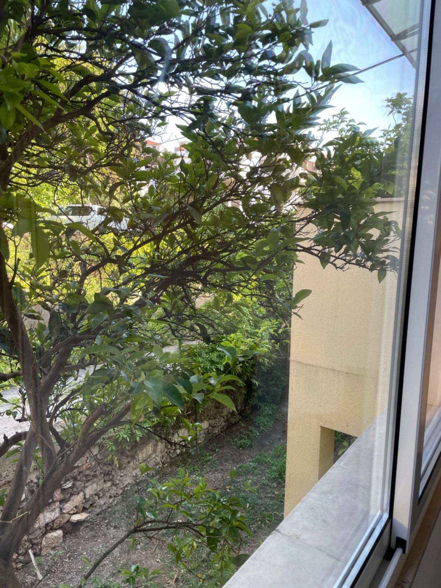 Apartmani Isabella - Ilda Radonic Jelsa  Luaran gambar